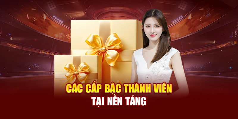 Các cấp bậc thành viên tại nền tảng