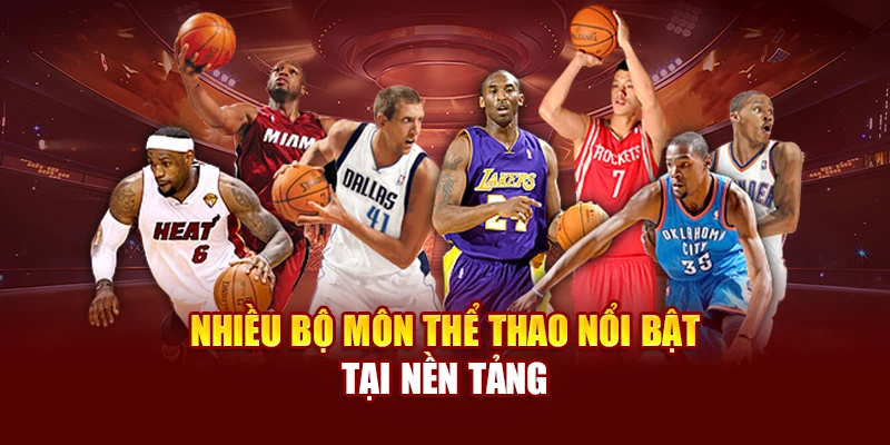 Nhiều bộ môn thể thao nổi bật tại nền tảng