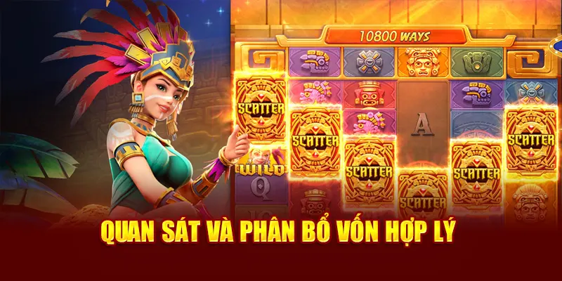 Quan sát và phân bổ vốn hợp lý